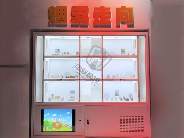 烟雾走向演示系统